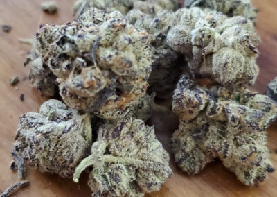 Dried flower of exclusive Paulander Purple by Highland Cannabis