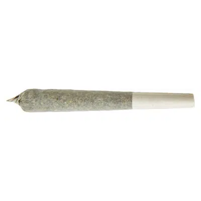 XPLOR Level X - Unicorn Blood Distillate Infused Pre-roll