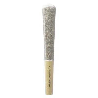 Pistol and Paris - Hawaiian Fanta Pre-Roll