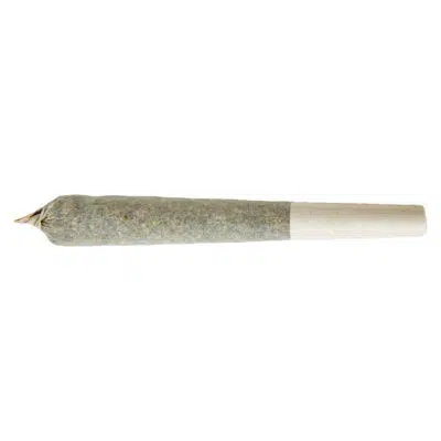 XPLOR LEVEL X - Beast Berry Distillate Infused Pre-Roll
